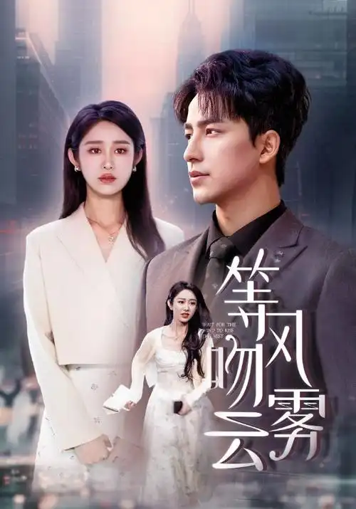 沉默的真相 海报